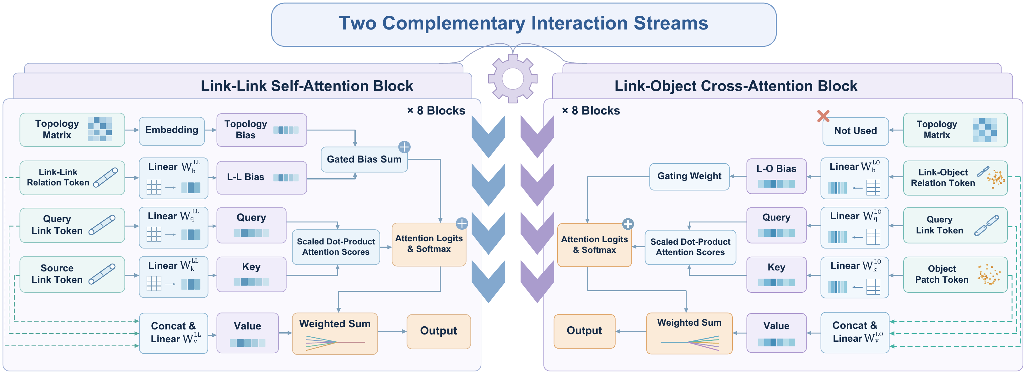 Geometry-Aware Dual-Stream Attention Architecture