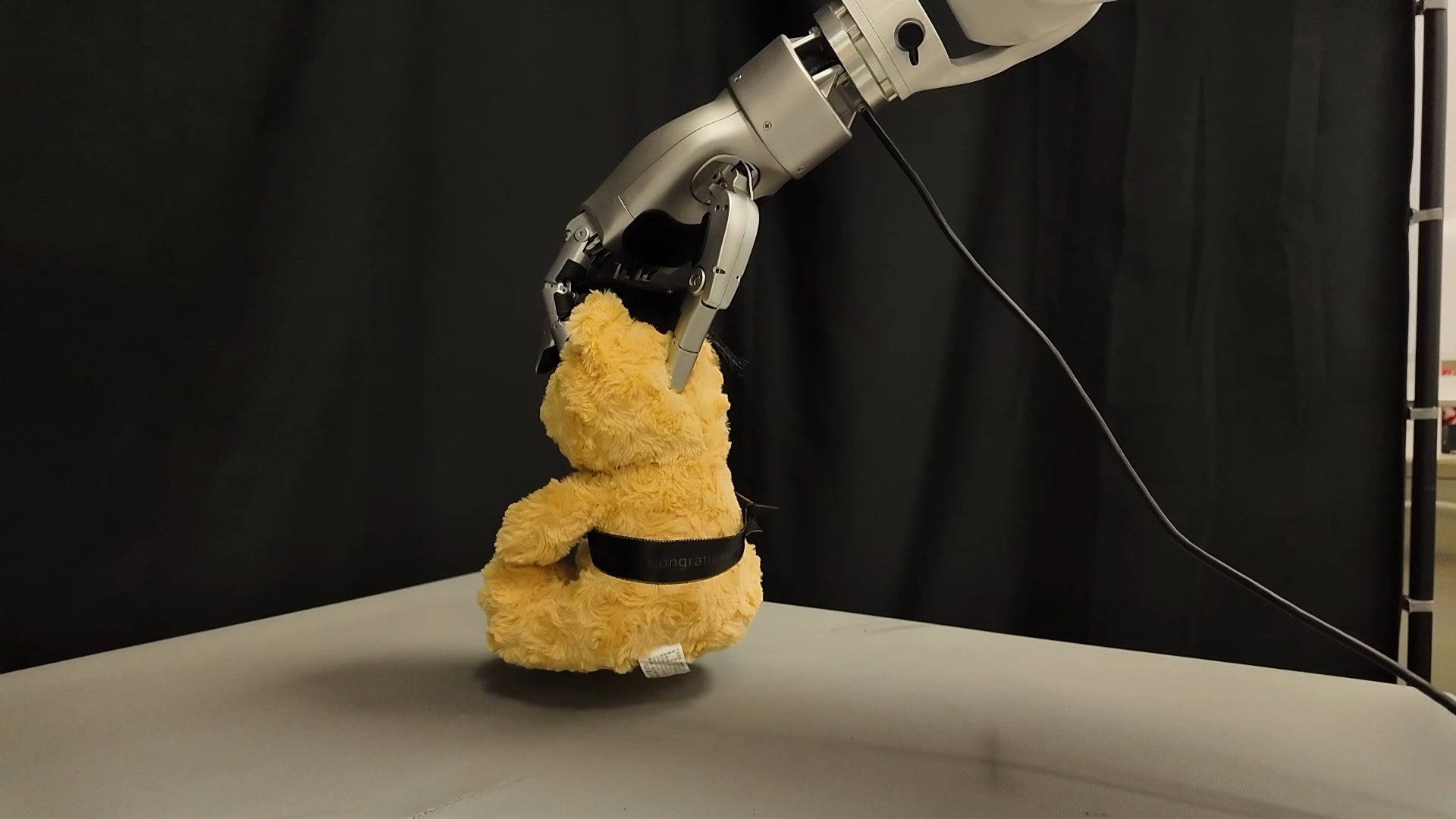 Toy