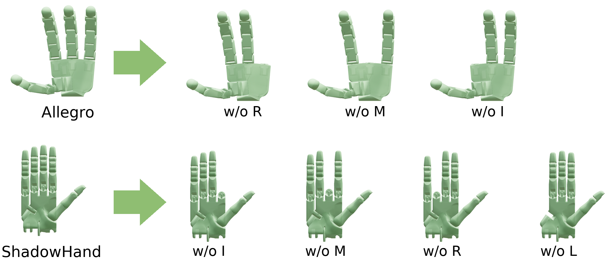 Intact and Topology-Modified Hand Embodiments